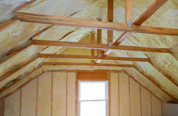 Best Commercial Insulation in Tuscola, IL