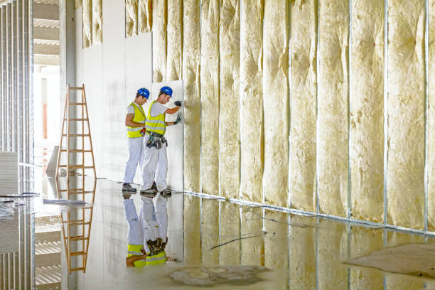 Best Residential Insulation in Tuscola, IL